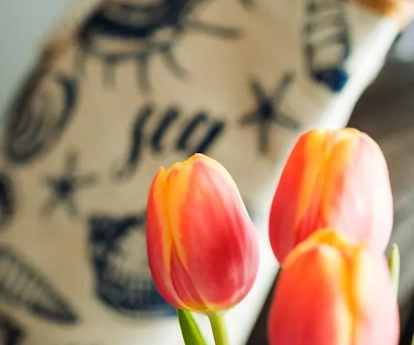 Benb Beelen מלון